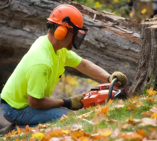 tree services Anchorage